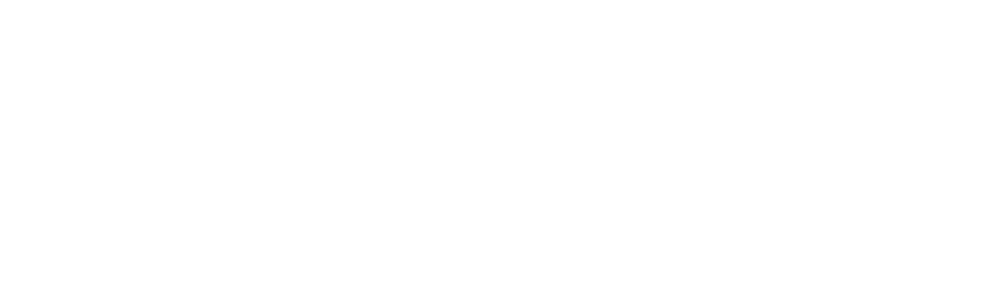 enMetrik Logo